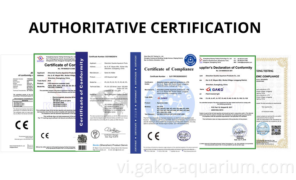 A052 CERTIFICATE